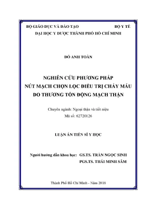 Luận án tiến sĩ nghiên cứu phương pháp nút mạch chọn lọc điều trị chảy máu do thương tổn động mạch thận