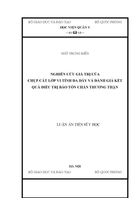 Luận án tiến sĩ nghiên cứu giá trị của chụp cắt lớp vi tính đa dãy và đánh giá kết quả điều trị bảo tồn chấn thương thận