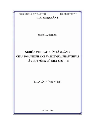 Nghiên cứu đặc điểm lâm sàng chẩn đoán hình ảnh và kết quả điều trị phẫu thuật gãy cột sống cổ kiểu giọt lệ luận án tiến sỹ y khoa