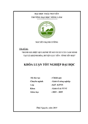 Luận văn đánh giá hiệu quả kinh tế sản xuất cây cam sành tại xã khánh hòa huyện lục yên tỉnh yên bái