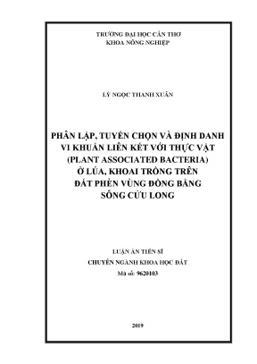 Luận án tiến sĩ nông nghiệp nghiên cứu sử dụng hợp lý đất phèn đồng bằng sông cửu long thích ứng với biến đổi khí hậu