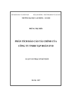 Luận văn thạc sĩ phân tích báo cáo tài chính của công ty tnhh tập đoàn evd