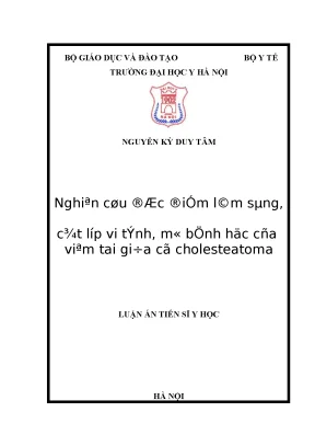 Luận án tiến sĩ nghiên cứu đặc điểm lâm sàng cắt lớp vi tính mô bệnh học của viêm tai giữa có cholesteatoma