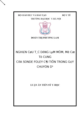 Luận án tiến sĩ nghiên cứu tác dụng làm mềm mở cổ tử cung của sonde foley cải tiến trong gây chuyển dạ