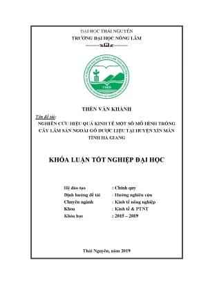 Luận văn nghiên cứu hiệu quả kinh tế một số mô hình trồng cây lâm sản ngoài gỗ dược liệu tại huyện xín mần tỉnh hà giang