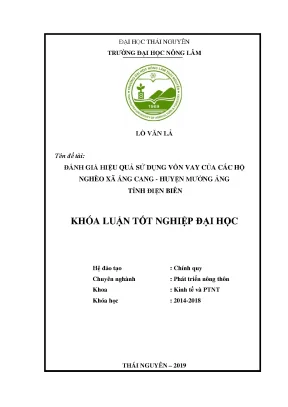 Luận văn đánh giá hiệu quả sử dụng vốn vay của hộ nghèo xã ẳng cang huyện mường ảng tỉnh điện biên