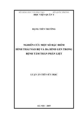 Luận án tiến sĩ y học nghiên cứu một số đặc điểm hình thái não bộ và đa hình gen trong bệnh tâm thần phân liệt