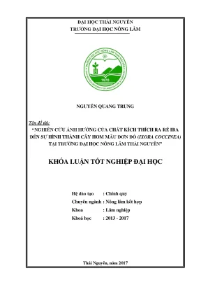 Luận văn nghiên cứu ảnh hưởng của chất kích thích ra rễ iba đến sự hình thành cây hom mẫu đơn đỏ ixora coccinea tại trường đại học nông lâm thái nguyên