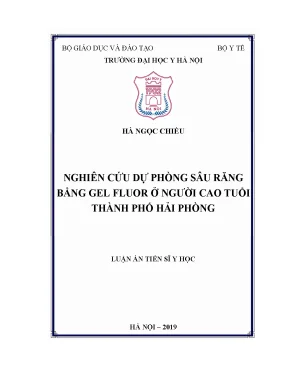 Luận án tiến sĩ nghiên cứu dự phòng sâu răng bằng gel fluor ở người cao tuổi thành phố hải phòng
