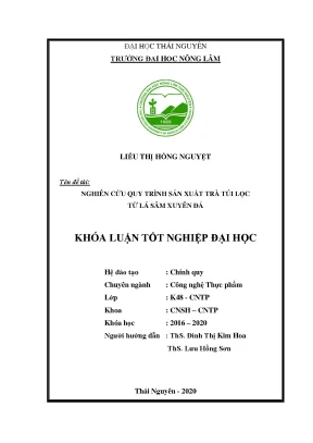 Luận văn nghiên cứu quy trình sản xuất trà túi lọc từ lá sâm xuyên đá