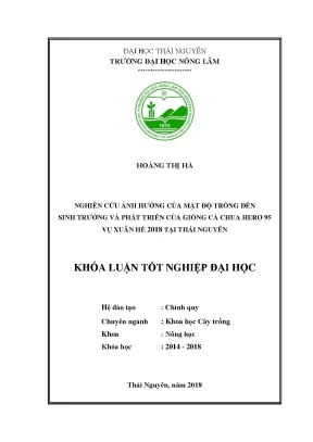 Luận văn nghiên cứu ảnh hưởng của mật độ trồng đến sinh trưởng và phát triển của giống cà chua hero 95 vụ xuân hè 2018 tại thái nguyên