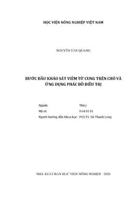 Luận văn thạc sĩ bước đầu khảo sát viêm tử cung trên chó và ứng dụng phác đồ điều trị