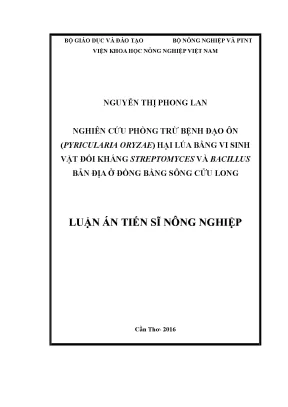 Luận án tiến sĩ nông nghiệp nghiên cứu phòng trừ bệnh đạo ôn pyricularia oryzae hại lúa bằng vi sinh vật đối kháng streptomyces và bacillus bản địa ở đồng bằng sông cửu long