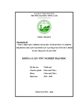Luận văn thực hiện quy trình chăm sóc nuôi dưỡng và phòng trị bệnh cho đàn lợn nái sinh sản tại trại nguyễn đức binh xã ba trại ba vì hà nội