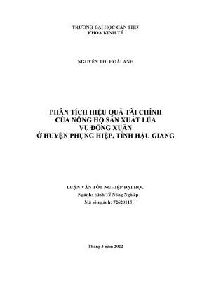 Tiểu luận luận văn tốt nghiệp phân tích hiệu quả tài chính của nông hộ sản xuất lúa vụ đông xuân ở huyện phụng hiệp tỉnh hậu giang