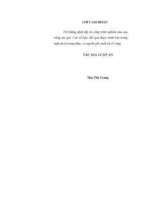 Luận án tiến sĩ phát huy giá trị văn hoá dân tộc thiểu số trong phát triển bền vững tây nguyên hiện nay