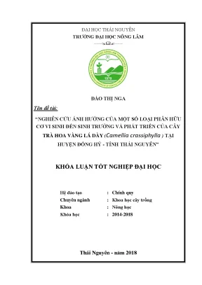 Luận văn nghiên cứu ảnh hưởng của một số loại phân hữu cơ vi sinh đến sinh trưởng và phát triển của cây trà hoa vàng camellia chrysantha