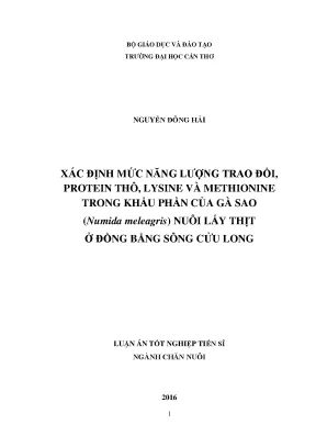 Luận án tiến sĩ nông nghiệp xác định mức năng lượng trao đổi protein thô lysine và methionine trong khẩu phần của gà sao numida meleagris nuôi lấy thịt ở đồng bằng sông cửu long