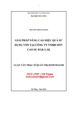 Luận văn thạc sĩ quản trị kinh doanh giải pháp nâng cao hiệu quả sử dụng vốn tại công ty tnhh mtv cao su đắk lắk
