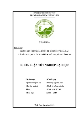 Luận văn đánh giá hiệu quả kinh tế sản xuất dứa tại xã bản lầu huyện mường khương tỉnh lào cai