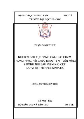 Luận án tiến sĩ nghiên cứu tác dụng của hào châm trong phục hồi chức năng tâm vận động ở bệnh nhi sau viêm não cấp do vi rút herpes simpl