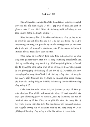 Luận án tiến sĩ nghiên cứu đặc điểm lâm sàng cận lâm sàng kết quả điều trị tổn thương đám rối thần kinh cánh tay