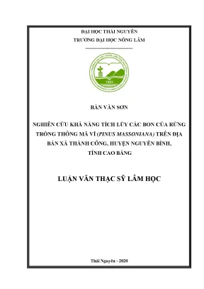 Luận văn thạc sĩ nghiên cứu khả năng tích lũy các bon của rừng trồng thông mã vĩ pinus massoniana trên địa bàn xã thành công huyện nguyên bình tỉnh cao bằng