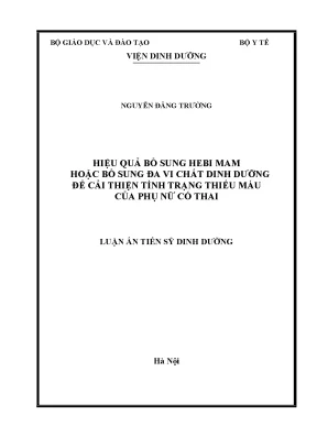 Luận án tiến sĩ hiệu quả bổ sung hebi mam hoặc bổ sung đa vi chất dinh dưỡng để cải thiện tình trang thiếu máu của phụ nữ có thai