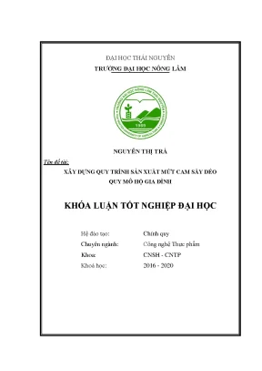 Luận văn xây dựng quy trình sản xuất mứt cam sấy dẻo quy mô hộ gia đình