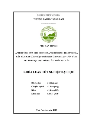 Luận văn ảnh hưởng của chế độ che sáng đến sinh trưởng của cây sâm cau curculigo orchioides gaertn tại vườn ươm trường đại học nông lâm thái nguyên