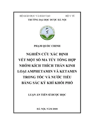Luận án tiến sĩ nghiên cứu xác định vết một số ma túy tổng hợp nhóm kích thích thần kinh loại amphetamin và ketamin trong tóc và nước tiểu bằng sắc ký khí khối phổ