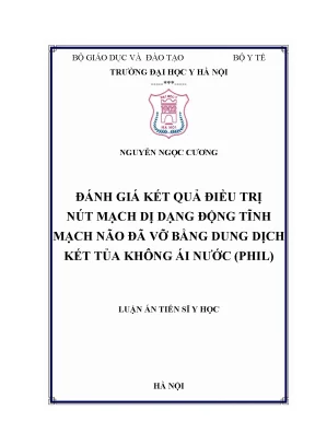 Luận án tiến sĩ đánh giá kết quả điều trị nút mạch dị dạng động tĩnh mạch não đã vỡ bằng dung dịch kết tủa không ái nước phil