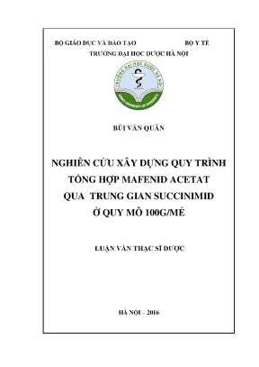 Luận văn thạc sĩ nghiên cứu xây dựng quy trình tổng hợp mafenid acetat qua trung gian succinimid ở quy mô 100gmẻ min