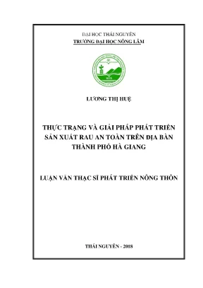 Luận văn thạc sĩ thực trạng và giải pháp phát triển sản xuất rau an toàn tại thành phố hà giang