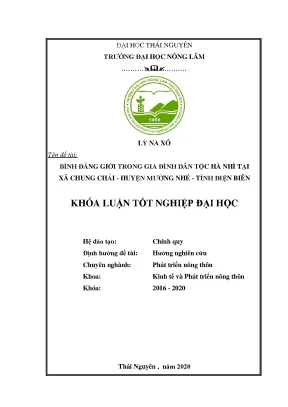 Luận văn bình đẳng giới trong gia đình dân tộc hà nhì tại xã chung chải huyện mường nhé tỉnh điện biên