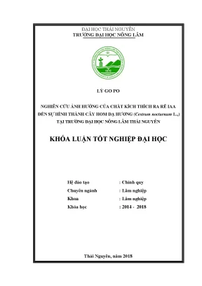 Luận văn nghiên cứu ảnh hưởng của chất kích thích ra rễ iaa đến sự hình thành cây hom dạ hương cestrum nocturnum l tại trường đại học nông lâm thái nguyên