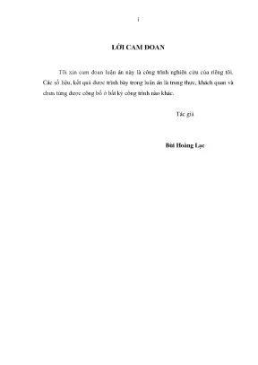 Luận án tiến sĩ y học nghiên cứu phẫu thuật bảo tồn chi bằng cắt rộng bướu xương và ghép xương mác có cuống mạch
