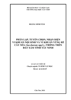 Luận án tiến sĩ phân lập tuyển chọn nhận diện vi khuẩn nội sinh và vi khuẩn vùng rễ cây mía saccharum spp l trồng trên đất xám tỉnh tây ninh