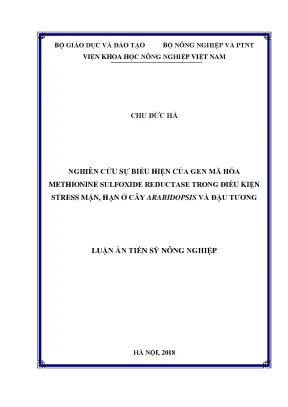 Luận án tiến sĩ nông nghiệp nghiên cứu sự biểu hiện của gen mã hóa methionine sulfoxide reductase trong điều kiện stress mặn hạn ở cây arabidopsis và đậu tương