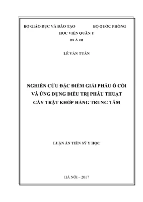 Luận án tiến sĩ nghiên cứu đặc điểm giải phẫu ổ cối và ứng dụng điều trị phẫu thuật gãy trật khớp háng trung tâm