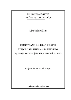 Luận văn thạc sĩ thực trạng an toàn vệ sinh thực phẩm thức ăn đường phố tại một số huyện của tỉnh hà giang