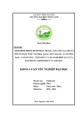 Luận văn thạc sĩ tình hình mắc bệnh phân trắng lợn con tại trại lợn đặng đức khang xã hướng đạo huyện tam dương tỉnh vĩnh phúc và so sánh hiệu lực của hai thuốc amoxinject và amcoli