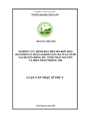 Luận văn thạc sĩ nghiên cứu bệnh đầu đen do đơn bào histomonas meleagridis gây ra ở gà nuôi tại huyện đồng hỷ tỉnh thái nguyên và biện pháp phòng trị