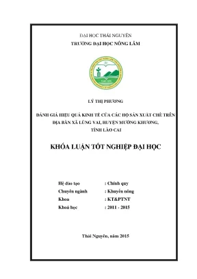 Luận văn thạc sĩ đánh giá hiệu quả kinh tế của các hộ sản xuất chè trên địa bàn xã lùng vai huyện mường khương tỉnh lào cai