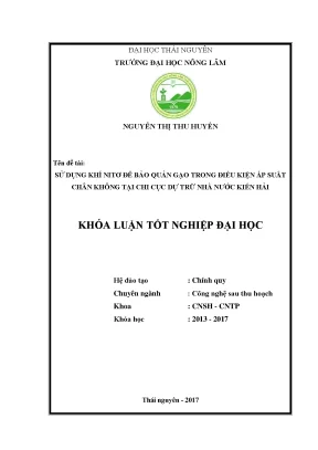 Luận văn sử dụng khí nitơ để bảo quản gạo trong điều kiện áp suất chân không tại chi cục dự trữ nhà nước kiến hải