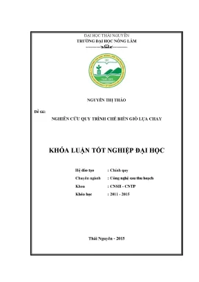 Luận văn thạc sĩ nghiên cứu quy trình chế biến giò lụa chay