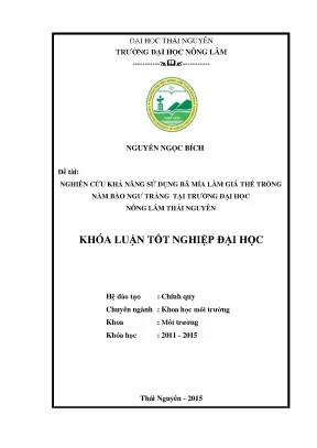 Luận văn thạc sĩ nghiên cứu khả năng sử dụng bã mía làm giá thể trồng nấm bào ngư trắng tại trường đại học nông lâm thái nguyên