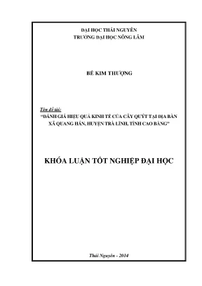 Luận văn thạc sĩ đánh giá hiệu quả kinh tế của cây quýt tại xã quang hán huyện trà lĩnh tỉnh cao bằng