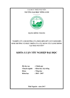 Luận văn nghiên cứu ảnh hưởng của phân bón vi sinh đến sinh trưởng và phát triển của măng tây xanh trồng tại thái nguyên