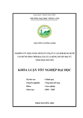 Luận văn thạc sĩ nghiên cứu khả năng tích lũy của c02 của vật rơi dụng dưới tán rừng phục hồi iia tại xã la bằng huyện đại từ tỉnh thái nguyên